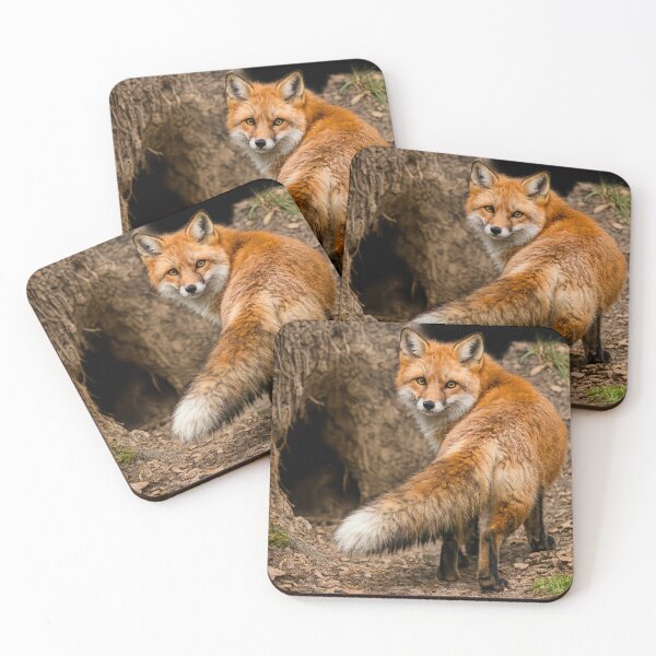 Item preview, Red Fox Walking to Its Den – Realistic Wildlife Art designed and sold by SmikiM.