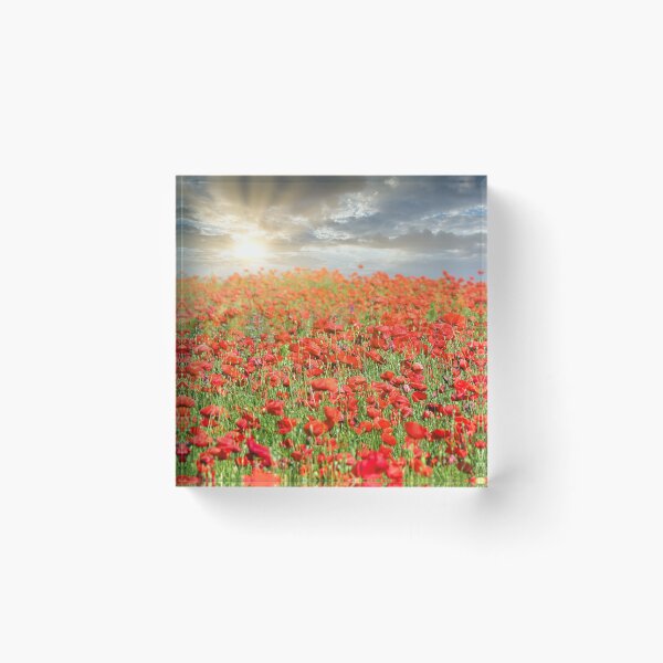 Item preview, The sun's rays break through the clouds and shine on the poppies flower meadow, spring season designed and sold by goceris.