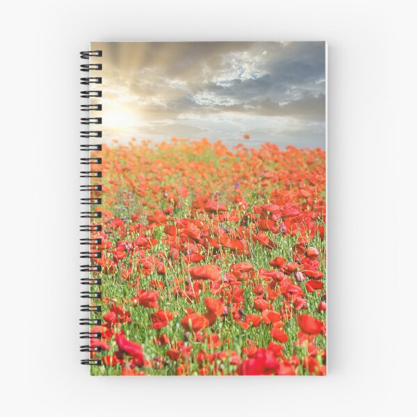 Item preview, The sun's rays break through the clouds and shine on the poppies flower meadow, spring season designed and sold by goceris.