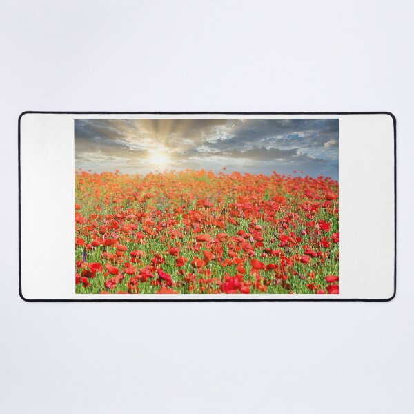 Item preview, The sun's rays break through the clouds and shine on the poppies flower meadow, spring season designed and sold by goceris.