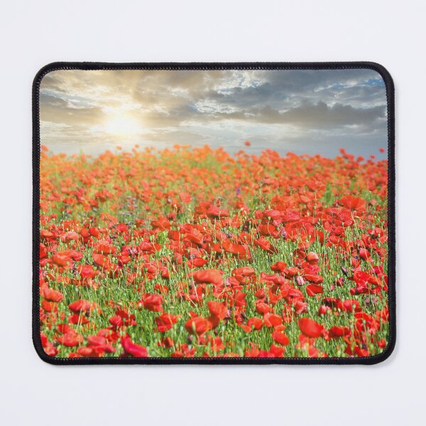 Item preview, The sun's rays break through the clouds and shine on the poppies flower meadow, spring season designed and sold by goceris.