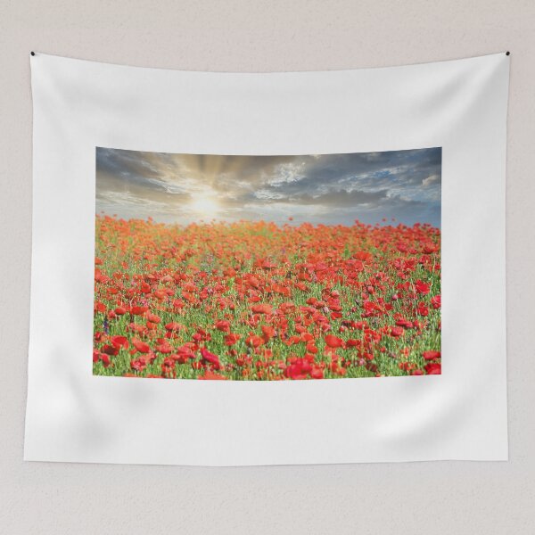 Item preview, The sun's rays break through the clouds and shine on the poppies flower meadow, spring season designed and sold by goceris.