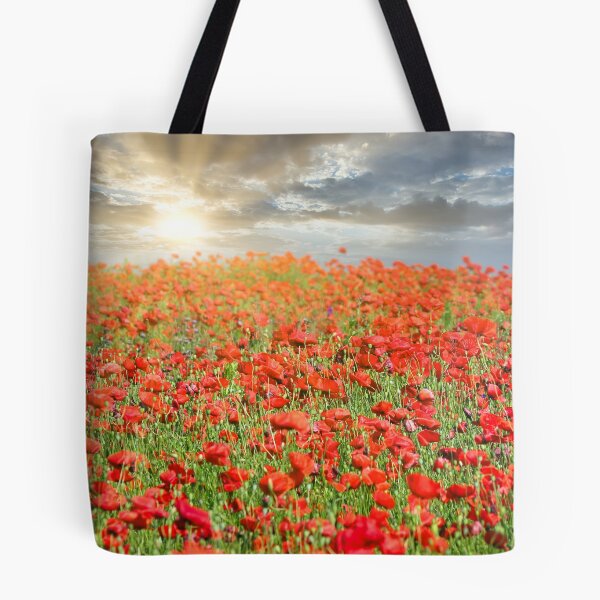 Item preview, The sun's rays break through the clouds and shine on the poppies flower meadow, spring season designed and sold by goceris.