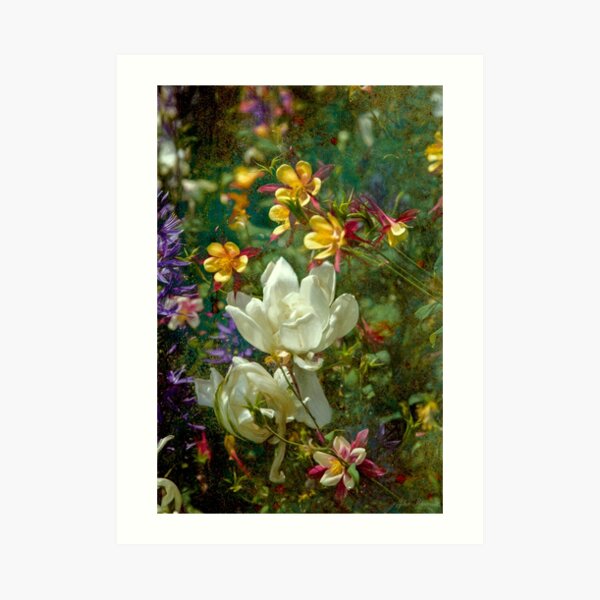 Secret Wishes Art Print