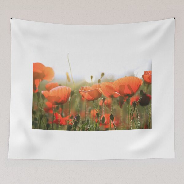 Item preview, Poppies flower with sun rays in the background, spring season designed and sold by goceris.