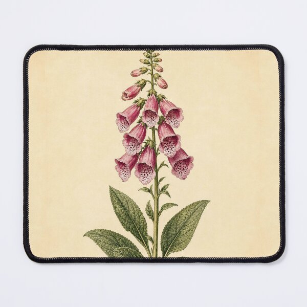 Item preview, Foxglove Flower Vintage Botanical Print designed and sold by NuvoraNest.
