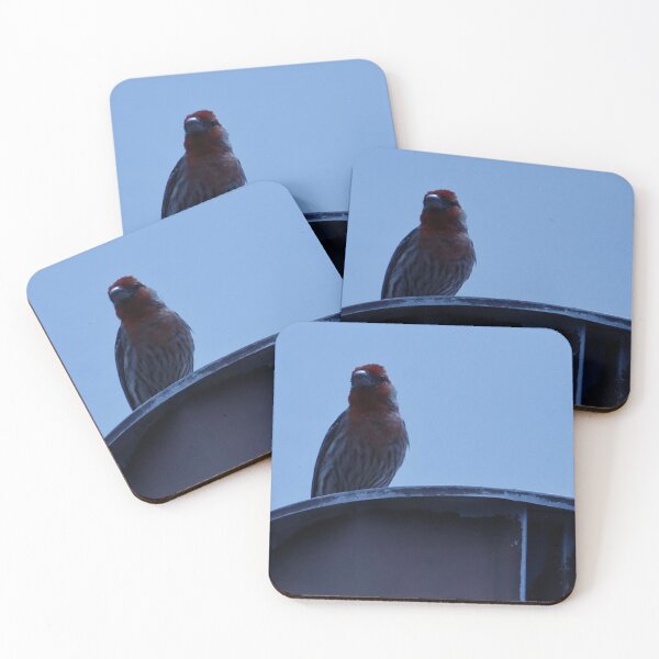 Item preview, House Finch on Rooftop designed and sold by WilesNailsPower.
