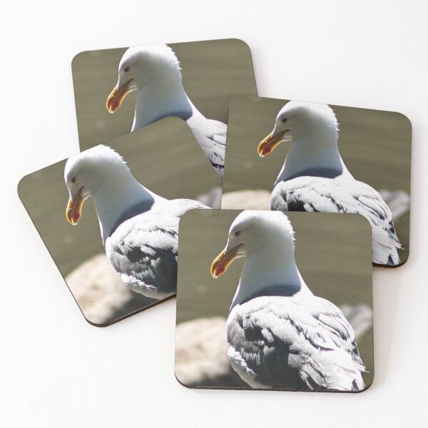 Item preview, Gaviota posada sobre una roca designed and sold by WilesNailsPower.