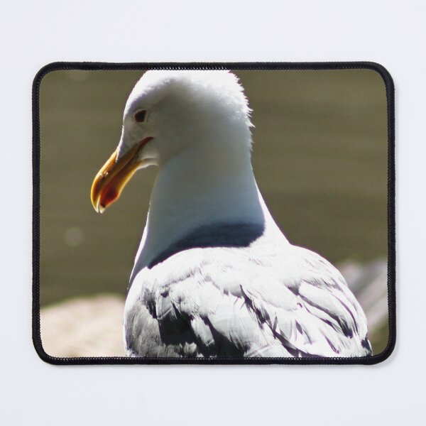 Item preview, Seagull Standing on a Rock designed and sold by WilesNailsPower.