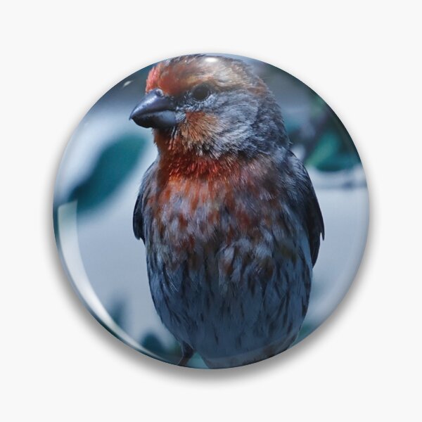 Item preview, House Finch on Fence designed and sold by WilesNailsPower.