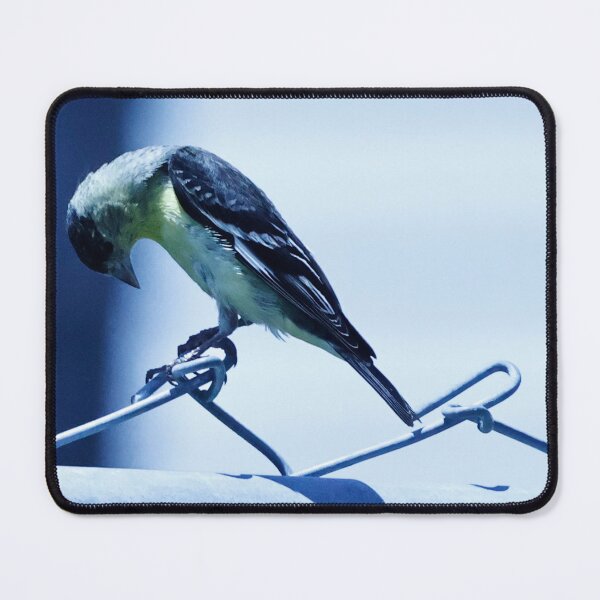 Item preview, Lesser Gold Finch designed and sold by WilesNailsPower.