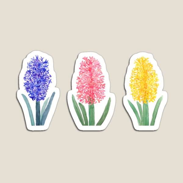 Aperçu de l'œuvre aquarelle de jacinthe colorée peinte à la main  créée et vendue par ColorandColor.