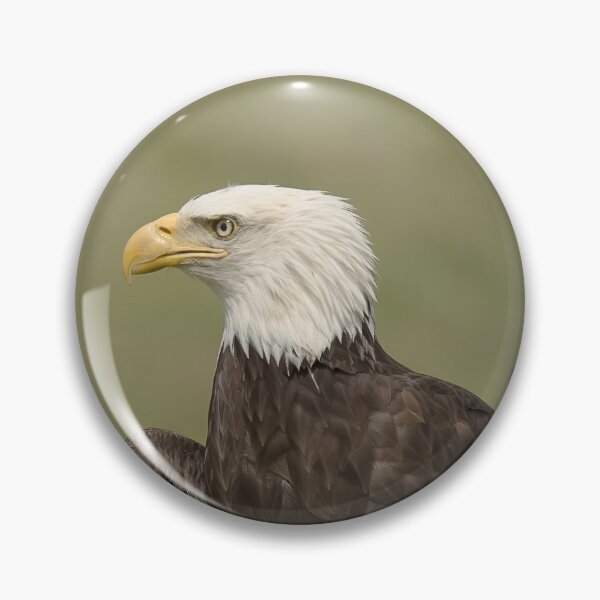 Item preview, Majestic Bald Eagle Intense Gaze designed and sold by Mundopirri.