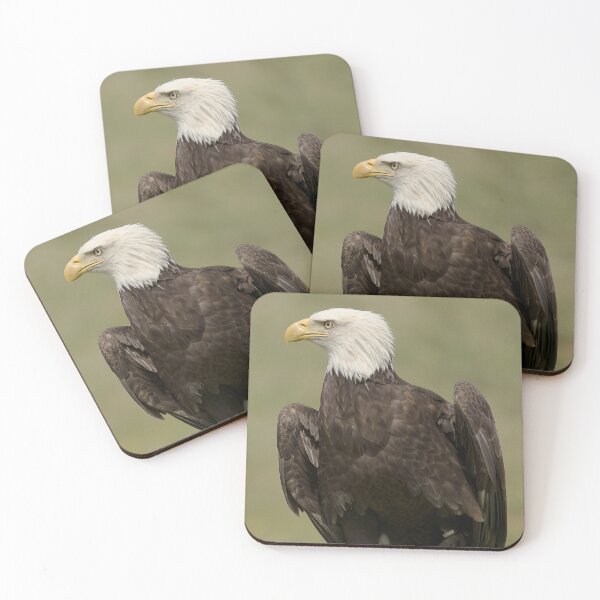 Item preview, Majestic Bald Eagle Intense Gaze designed and sold by Mundopirri.