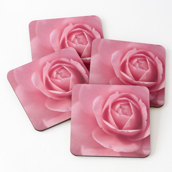 Item preview, Delicate Pink Rose Full Bloom Macro designed and sold by Amitphotos.