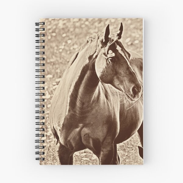 Item preview, Horses in Meadow (sepia) designed and sold by photoclique.