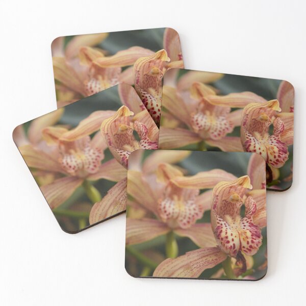 Item preview, Flowers in Bloom designed and sold by hmmdumplings.