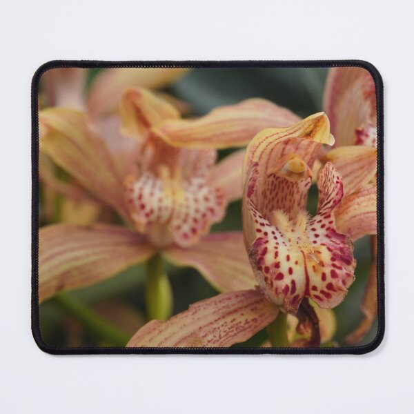 Item preview, Flowers in Bloom designed and sold by hmmdumplings.