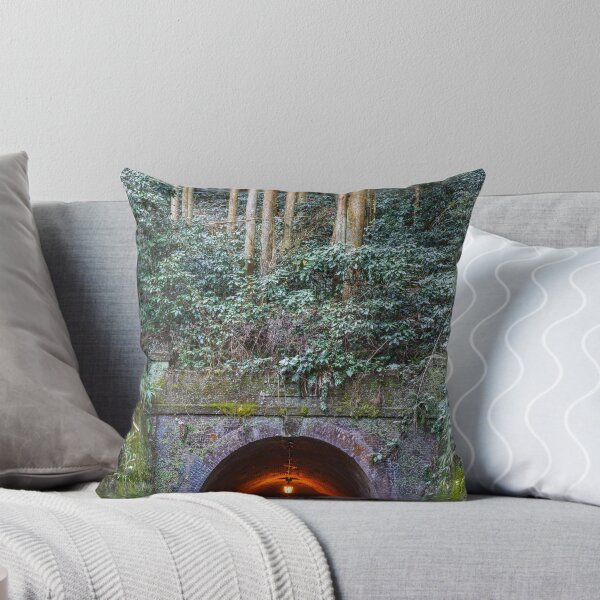 Item preview, Meiji Tunnel on the Old Tōkaidō Road in Utsunoya, Shizuoka, Japan designed and sold by Pix4Japan.