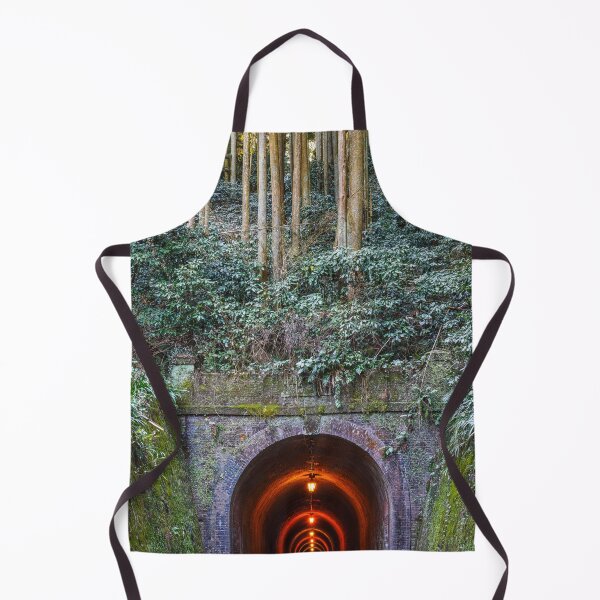 Item preview, Meiji Tunnel on the Old Tōkaidō Road in Utsunoya, Shizuoka, Japan designed and sold by Pix4Japan.