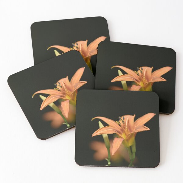 Item preview, Orange Daylily Flower Dark Background Photography designed and sold by Tathata Macro Photos.