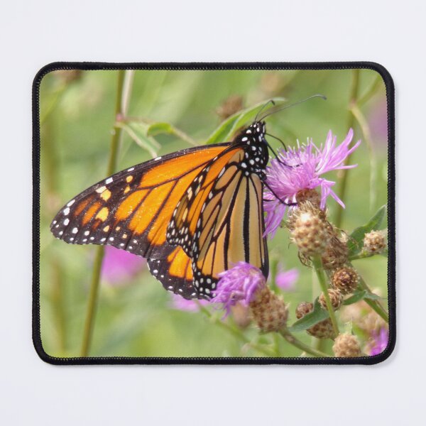 Item preview, Monarch Butterfly designed and sold by SquaresArt.
