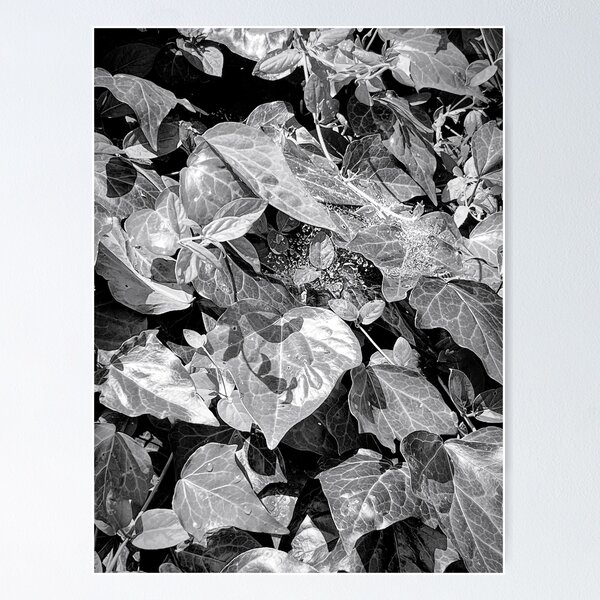 Item preview, Beautiful black leaves.  designed and sold by momentscapturedbymelanie.