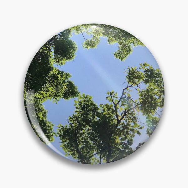 Item preview, Sun rays through forest canopy, real photograph designed and sold by GiSilver.