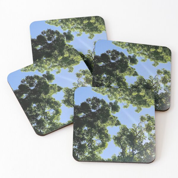Item preview, Sun rays through forest canopy, real photograph designed and sold by GiSilver.