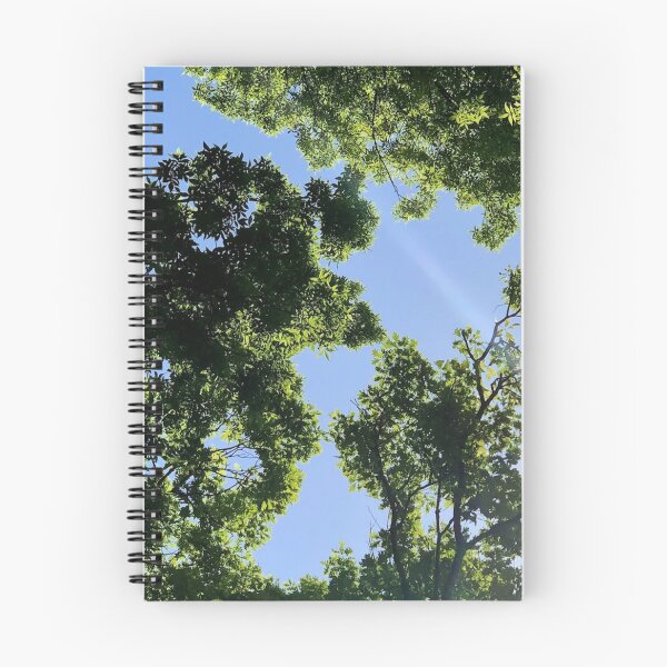 Item preview, Sun rays through forest canopy, real photograph designed and sold by GiSilver.