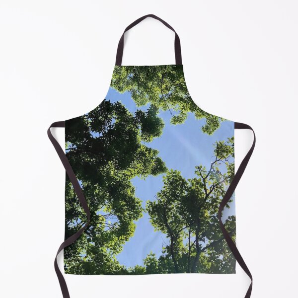 Item preview, Sun rays through forest canopy, real photograph designed and sold by GiSilver.