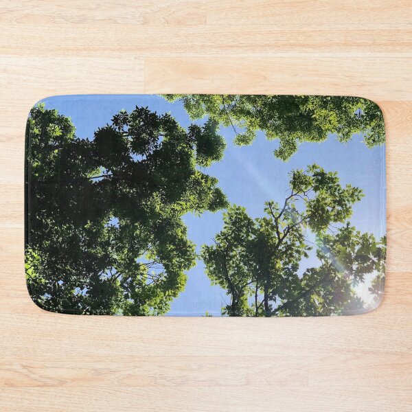 Item preview, Sun rays through forest canopy, real photograph designed and sold by GiSilver.