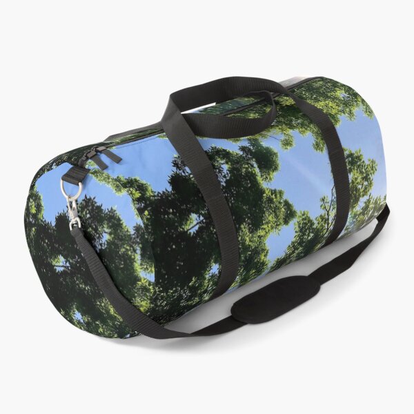 Item preview, Sun rays through forest canopy, real photograph designed and sold by GiSilver.