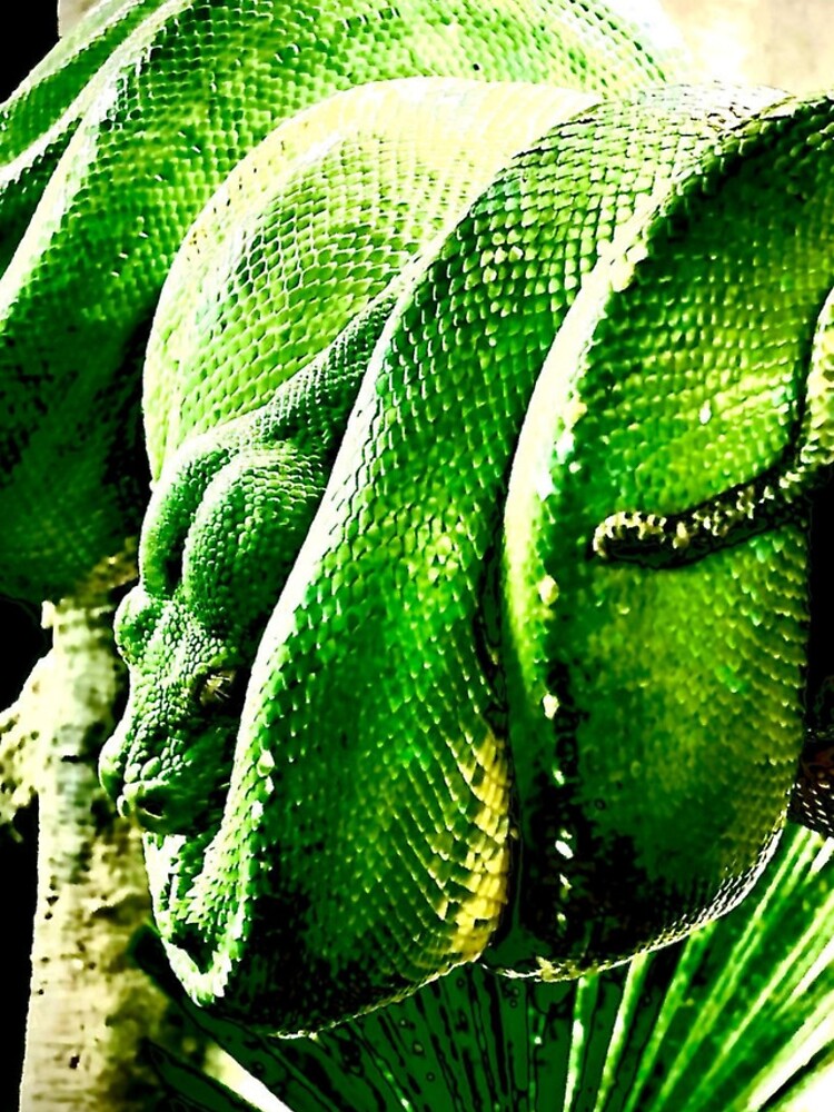 Thumbnail 4 of 4, iPhone Case, Tree Rope designed and sold by MelsArtVentures.