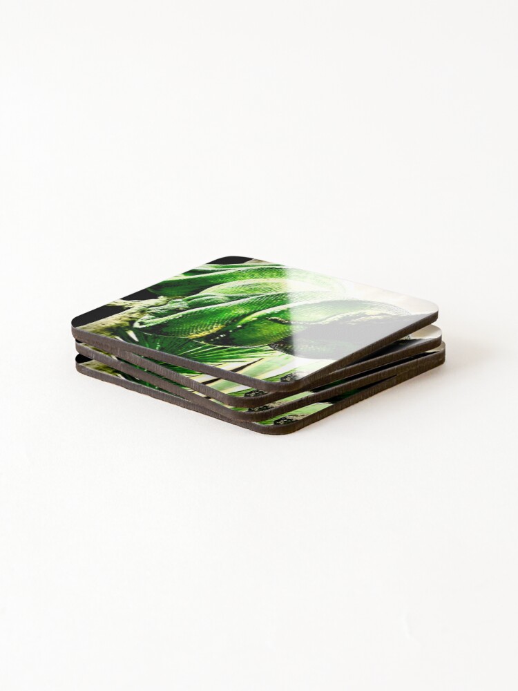 Thumbnail 4 of 5, Coasters (Set of 4), Tree Rope designed and sold by MelsArtVentures.