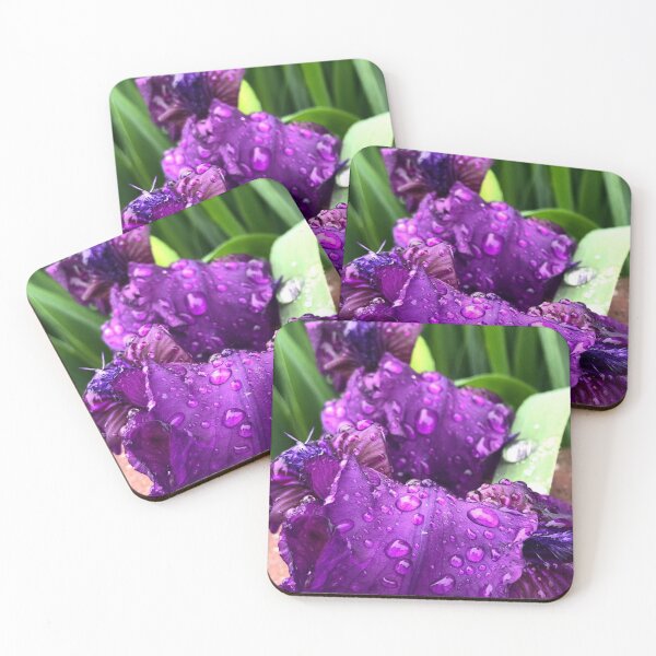 Item preview, Iris, no filter photograph designed and sold by GiSilver.