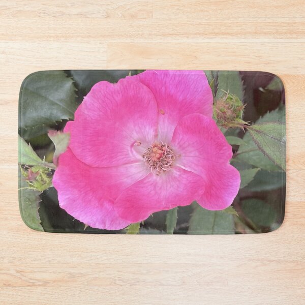Item preview, Vibrant Single Pink Knockout Shrub Rose Bloom designed and sold by greyforaday.