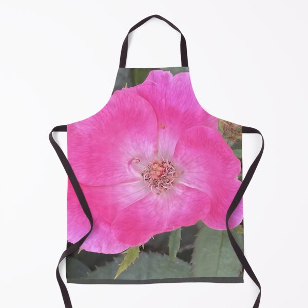 Item preview, Vibrant Single Pink Knockout Shrub Rose Bloom designed and sold by greyforaday.