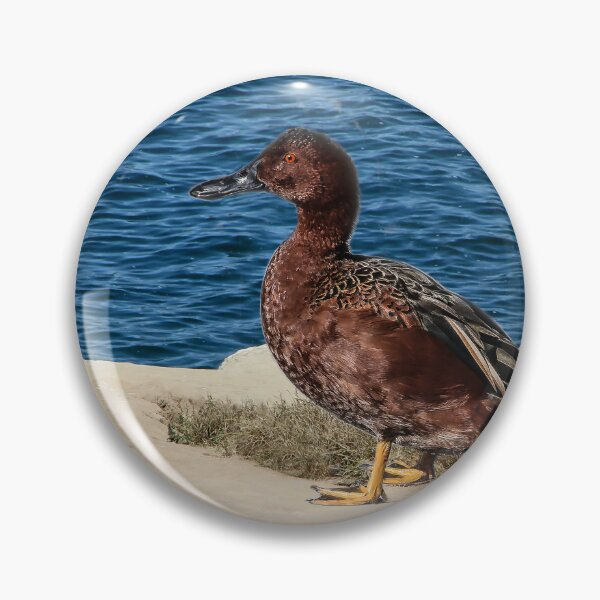 Item preview, I Will Find a Mate Here! designed and sold by heatherfriedman.
