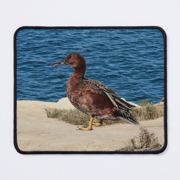 Item preview, I Will Find a Mate Here! designed and sold by heatherfriedman.