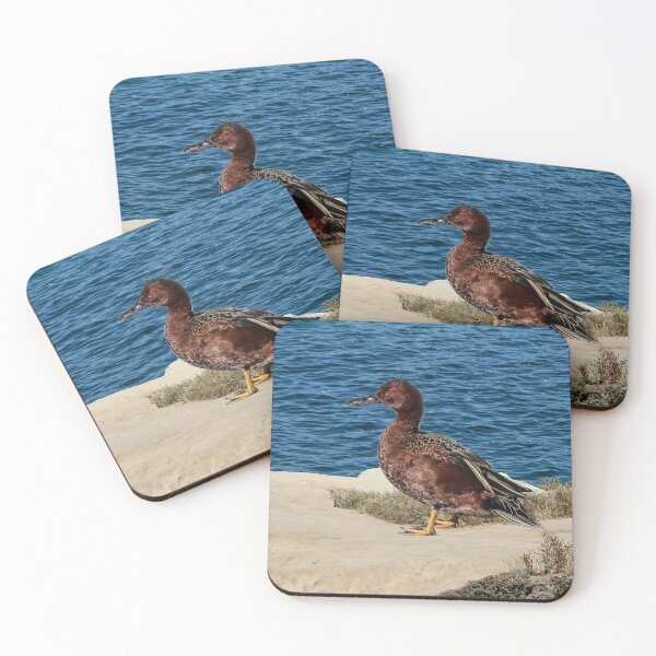 Item preview, I Will Find a Mate Here! designed and sold by heatherfriedman.
