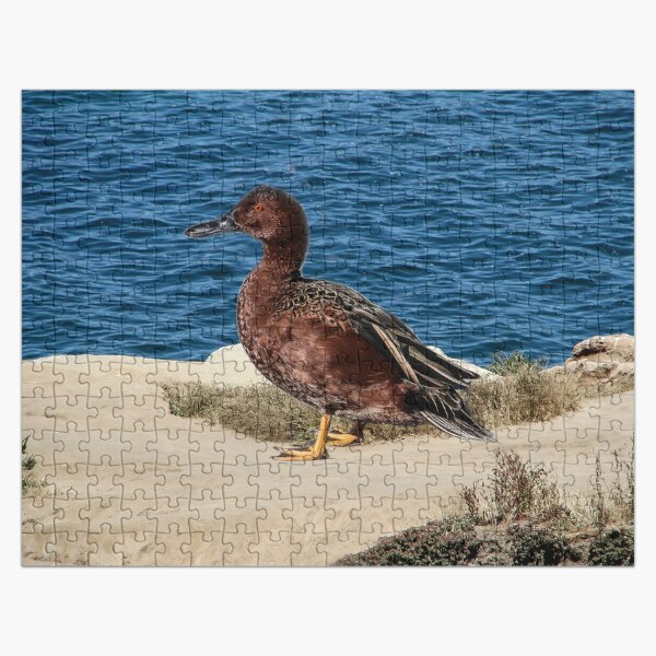 Item preview, I Will Find a Mate Here! designed and sold by heatherfriedman.