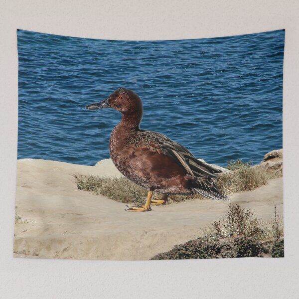 Item preview, I Will Find a Mate Here! designed and sold by heatherfriedman.
