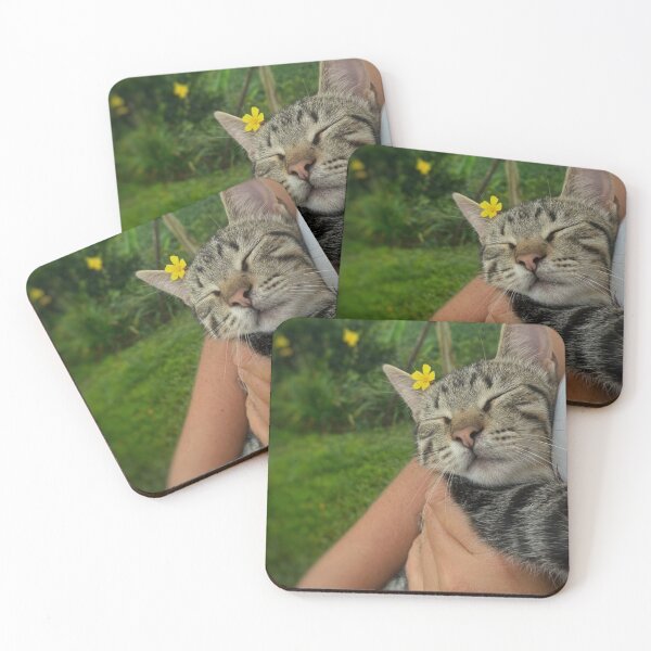 Item preview, Sleeping Tabby Kitten with Yellow Flower | Cute Cat Aesthetic designed and sold by Jesus-istheway.