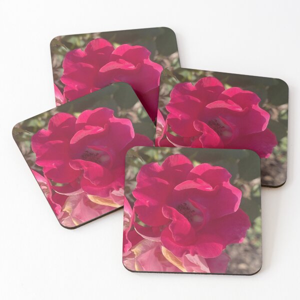 Item preview, Vibrant Bright Red Double Knockout Shrub Rose Bloom designed and sold by greyforaday.