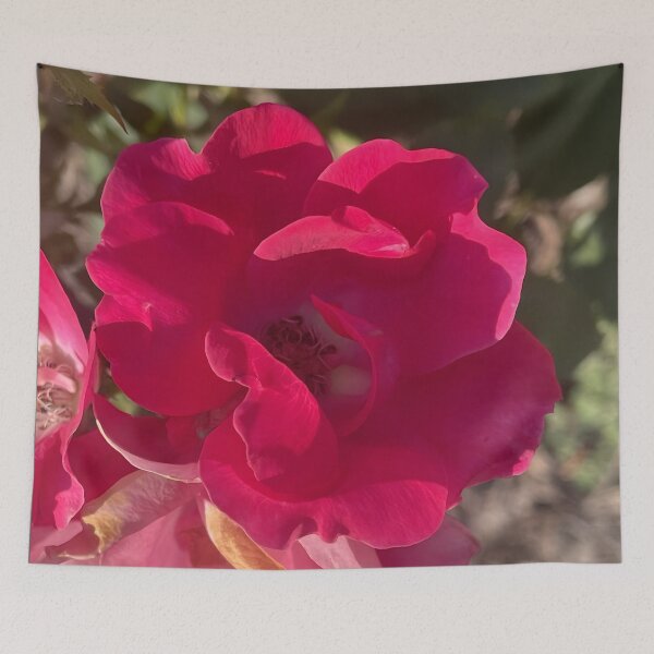 Item preview, Vibrant Bright Red Double Knockout Shrub Rose Bloom designed and sold by greyforaday.