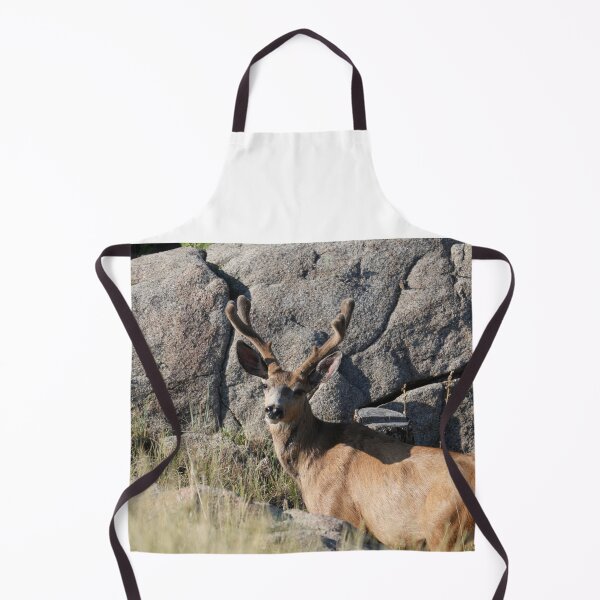 Item preview, Majestic Mule Deer in Velvet - Rist Canyon, Colorado designed and sold by Dirt500.