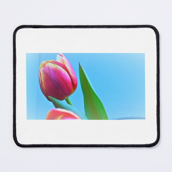 Item preview, Fragments designed and sold by ART22.
