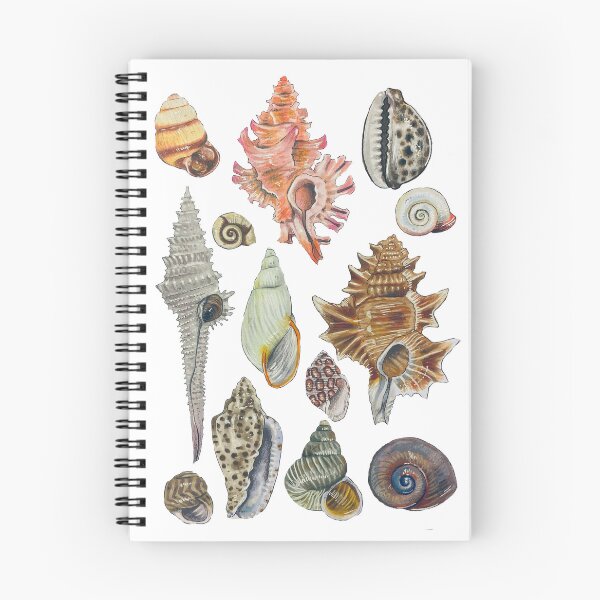 Item preview, Seashells 2 designed and sold by paigess.