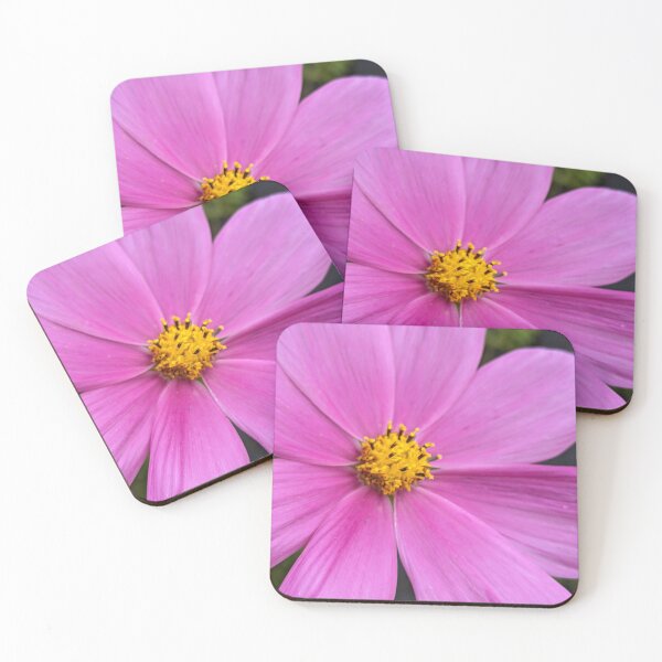 Item preview, Cosmos designed and sold by PrettyAround.